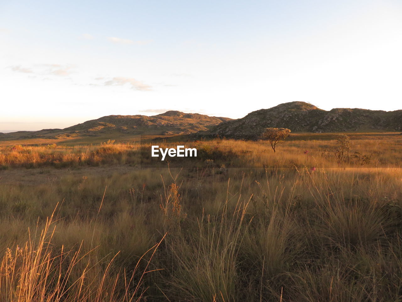 View of grassy landscape against sky