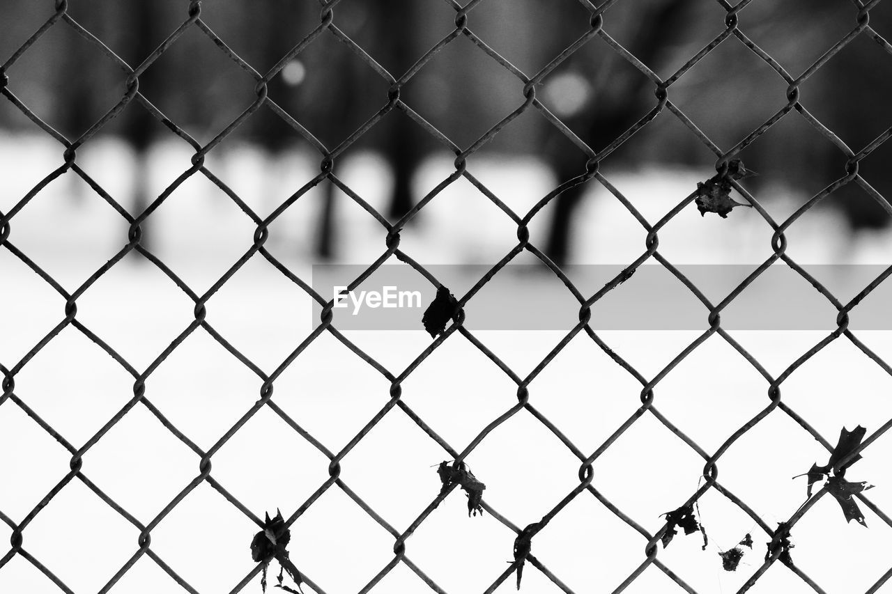 Close-up of chainlink fence