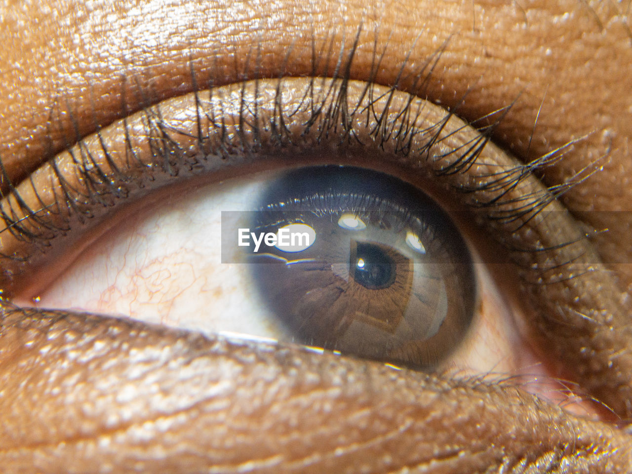 Close up of african american man dark brown eyes for use in ophthalmology optometry imagery