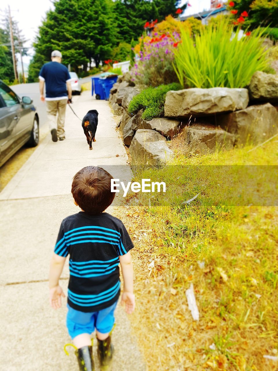 REAR VIEW OF BOY WALKING IN PARK