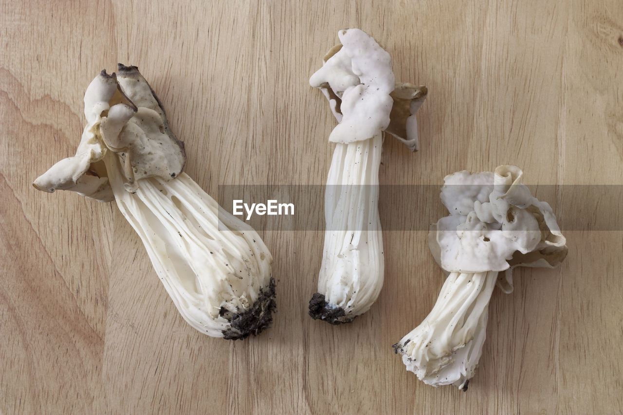 Close-up of mushrooms on table