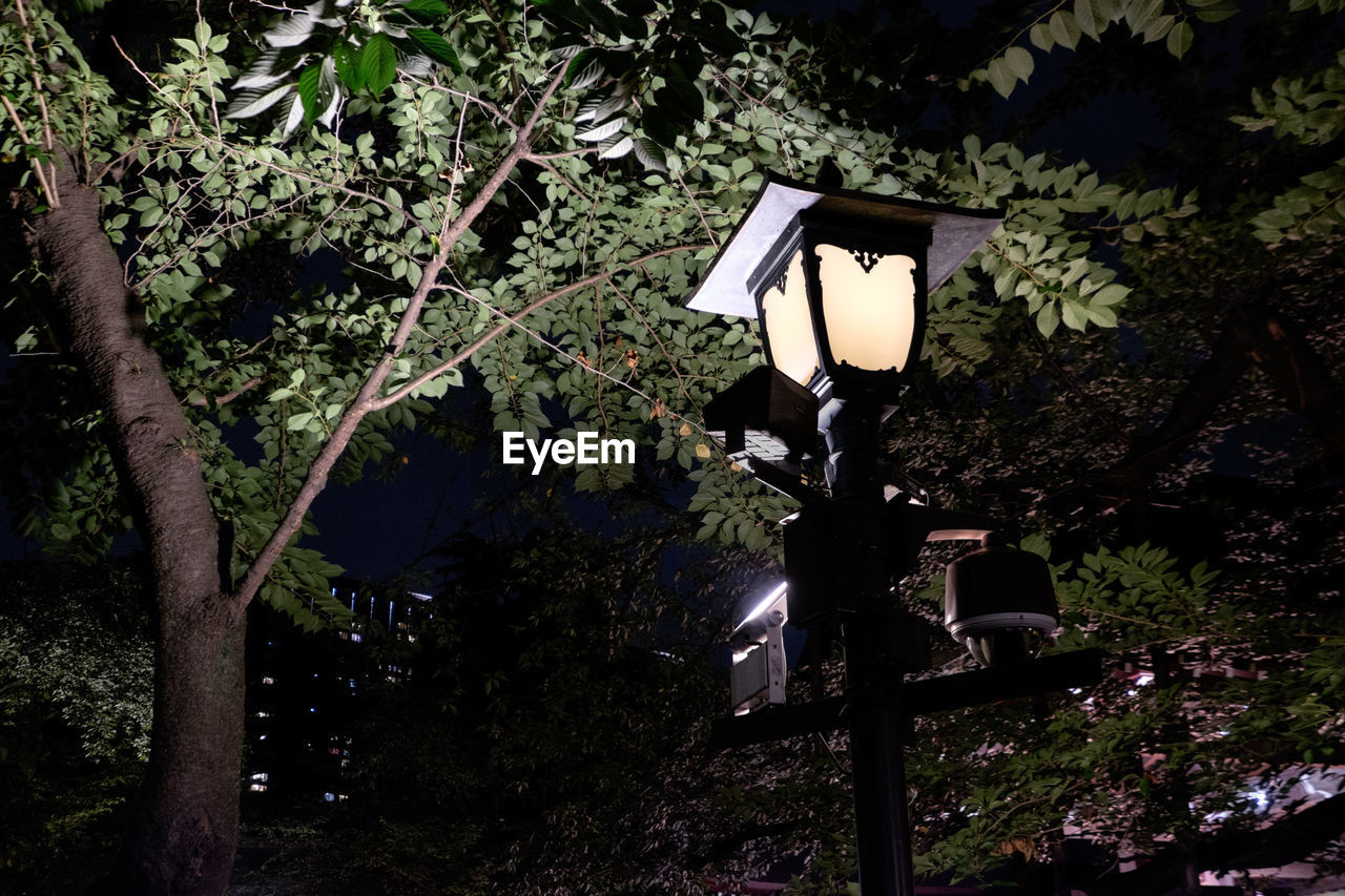 CLOSE-UP OF ELECTRIC LAMP AGAINST TREES