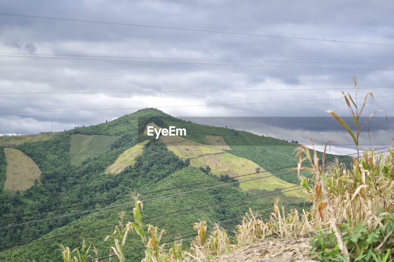 SCENIC VIEW OF FARM AGAINST SKY