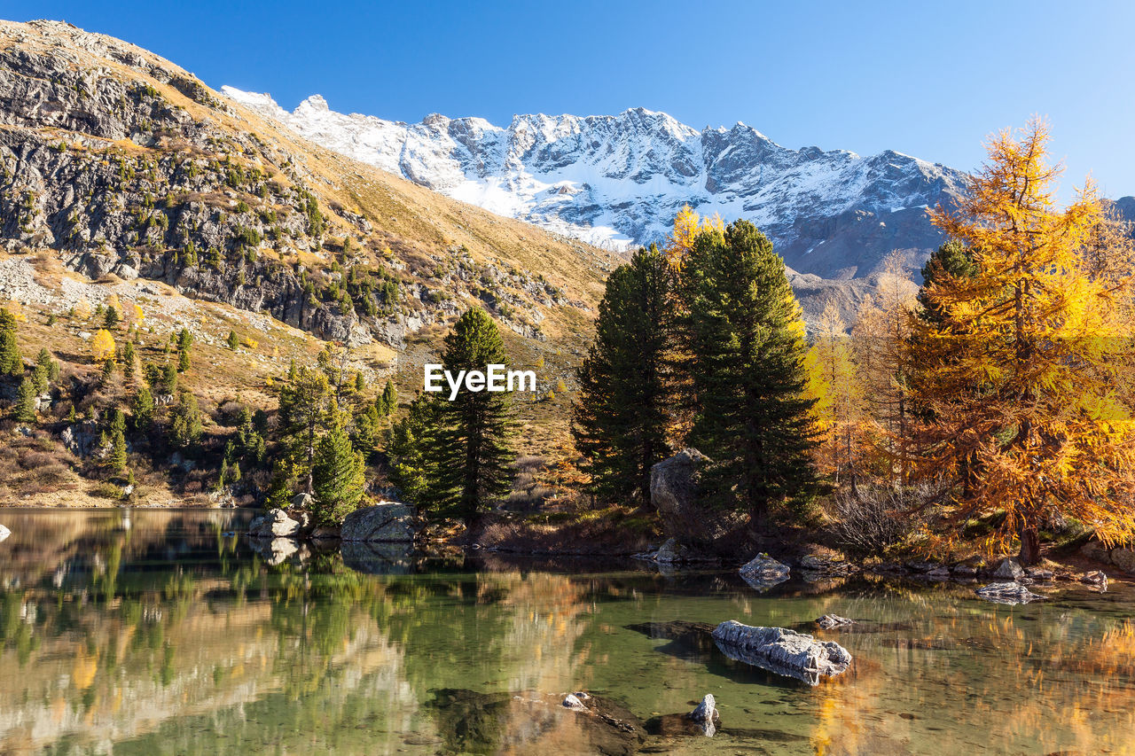 SCENIC VIEW OF LAKE BY TREES AGAINST MOUNTAIN