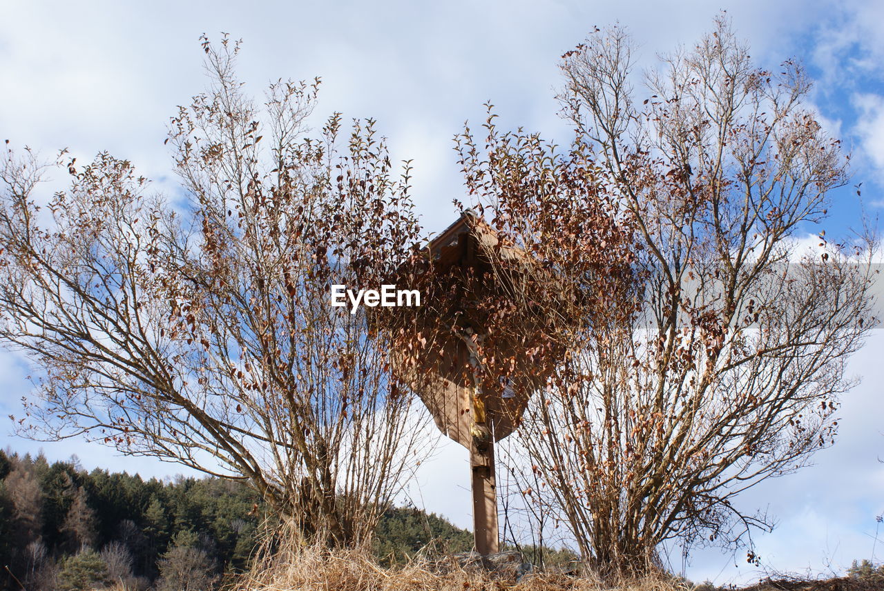 Low angle view of bare tree against sky