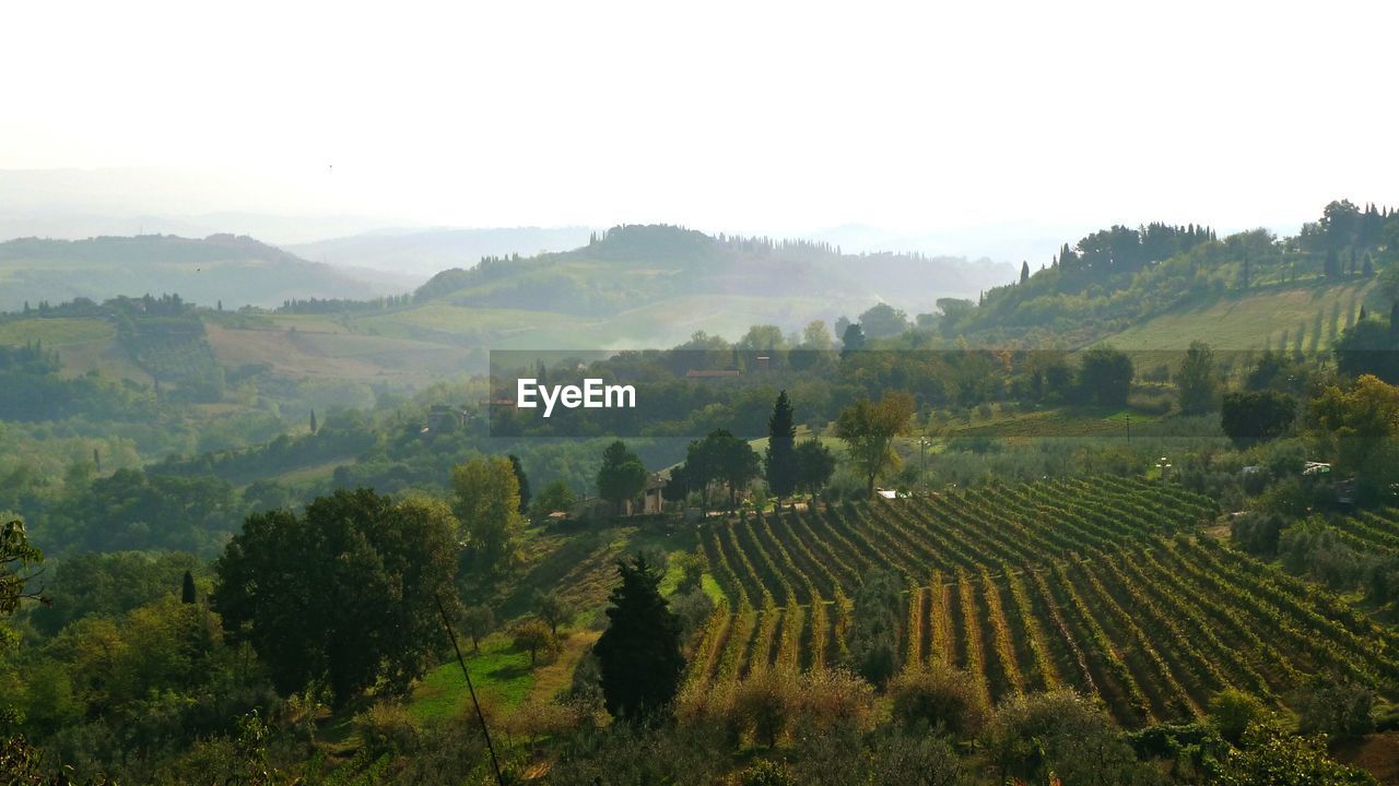 Scenic view of farms by mountains against sky