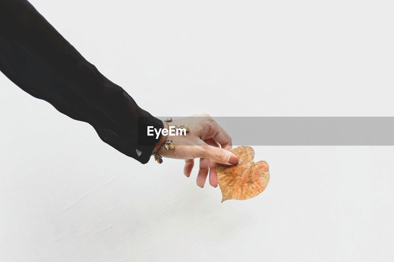 Cropped hand of woman holding leaf over snowy field