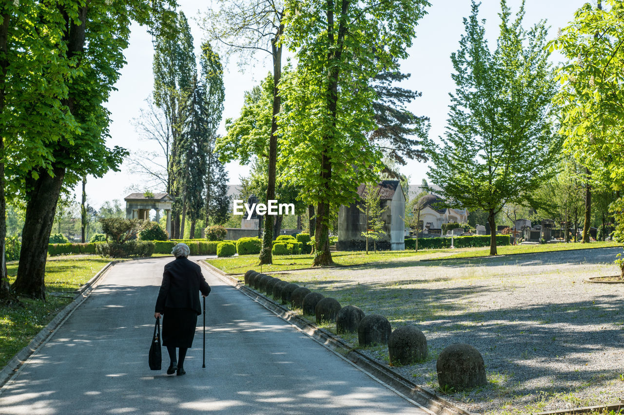 Rear view of woman walking on pathway along trees