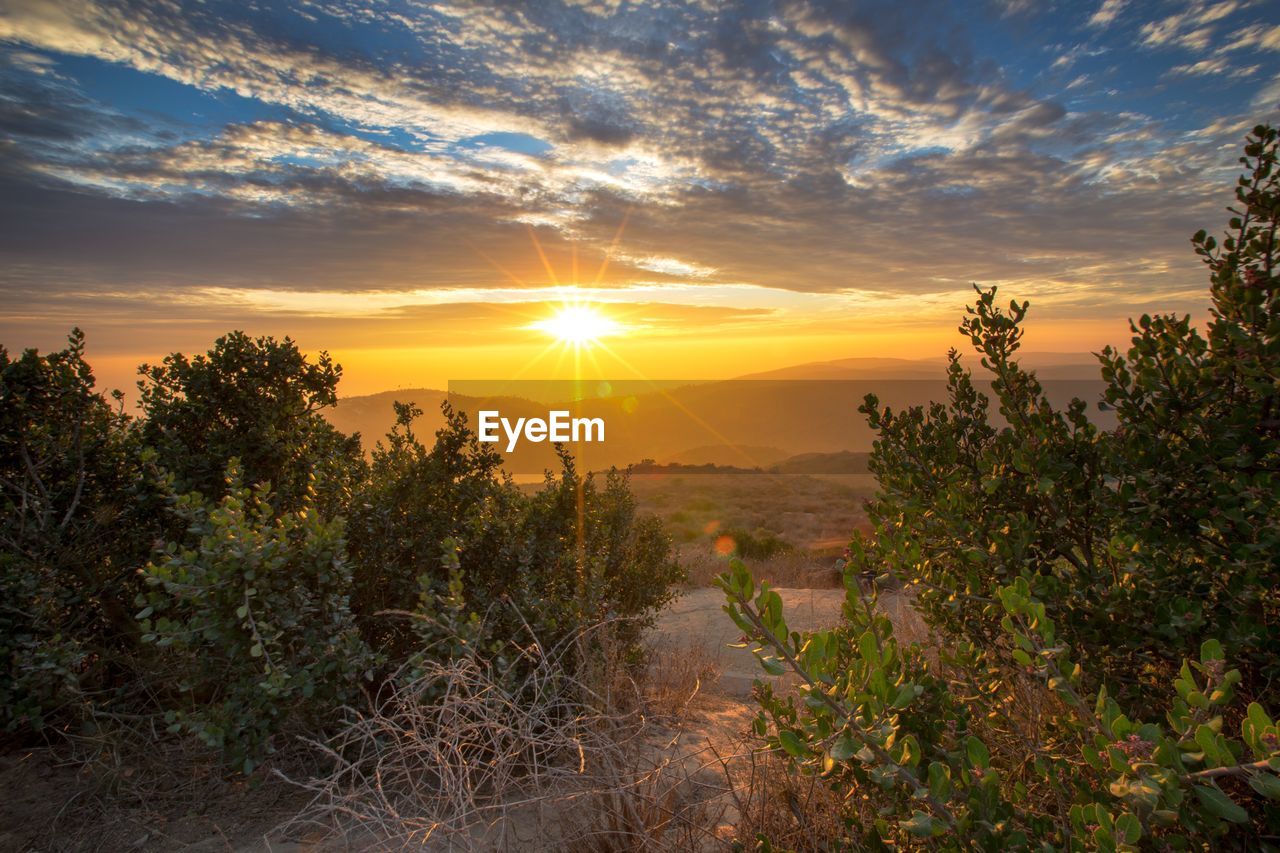 Scenic view of landscape against sky during sunset