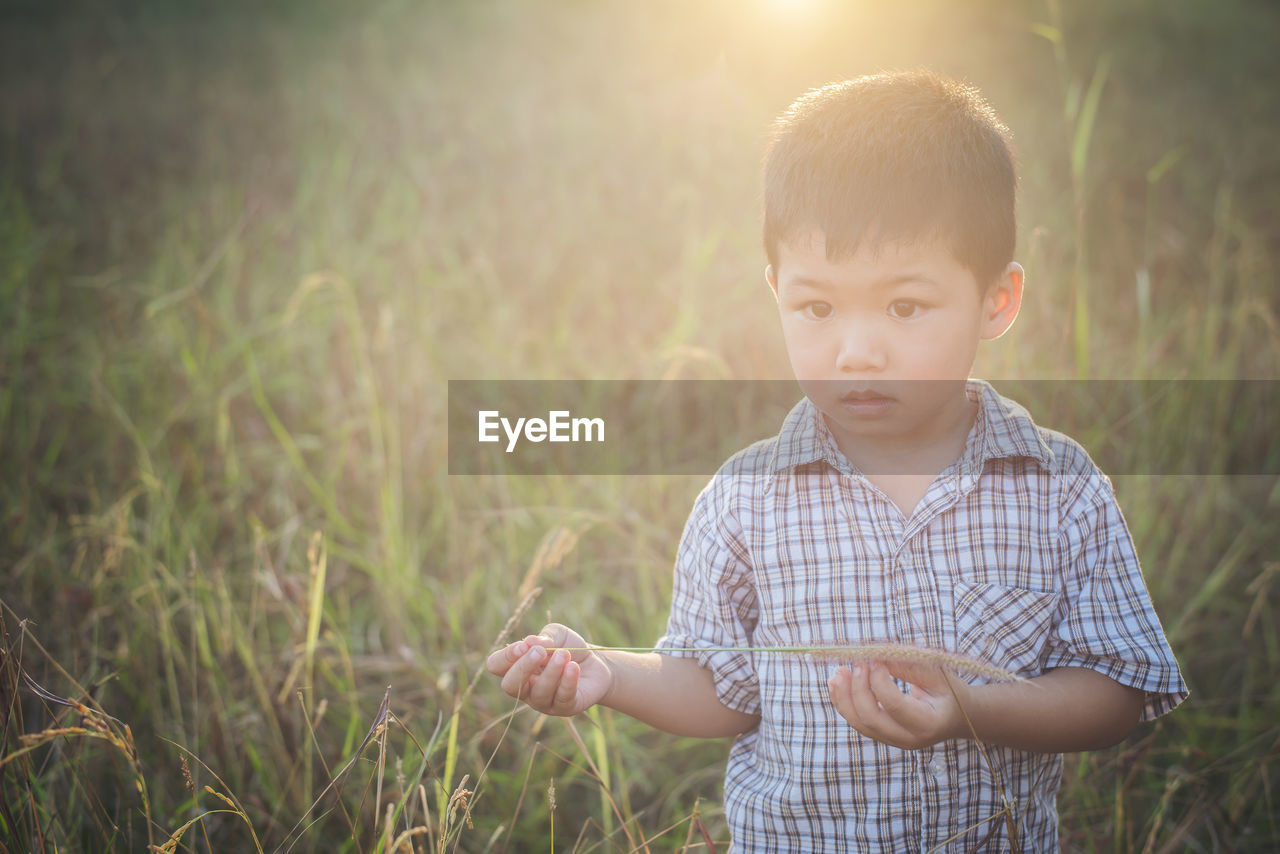 Portrait of cute boy scratching head while standing on grassy field during sunny day