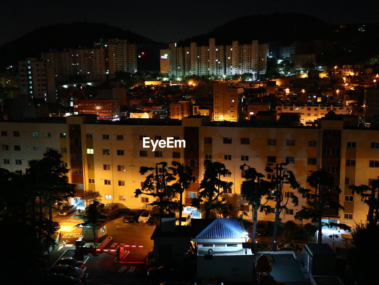 CARS ON ILLUMINATED STREET AMIDST BUILDINGS AT NIGHT