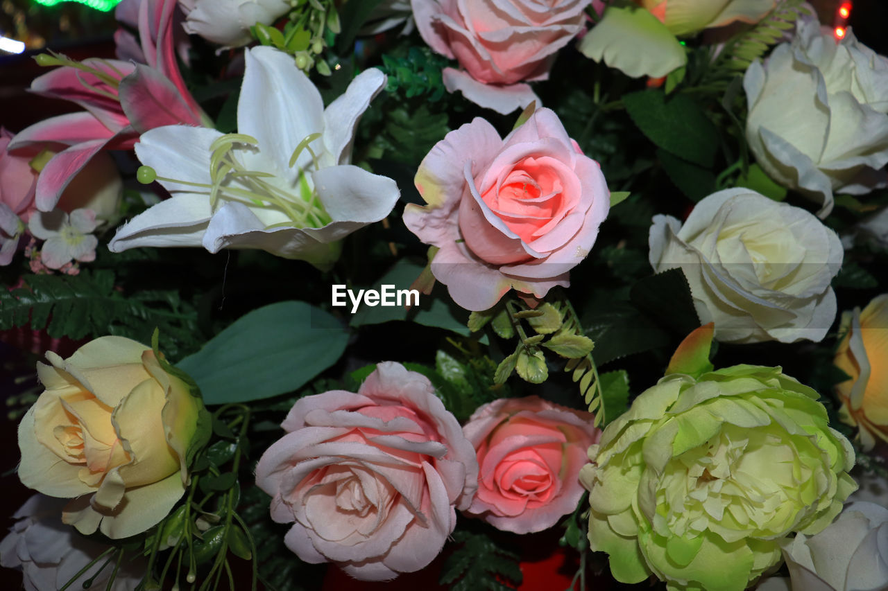 HIGH ANGLE VIEW OF ROSE BOUQUET ON PLANT