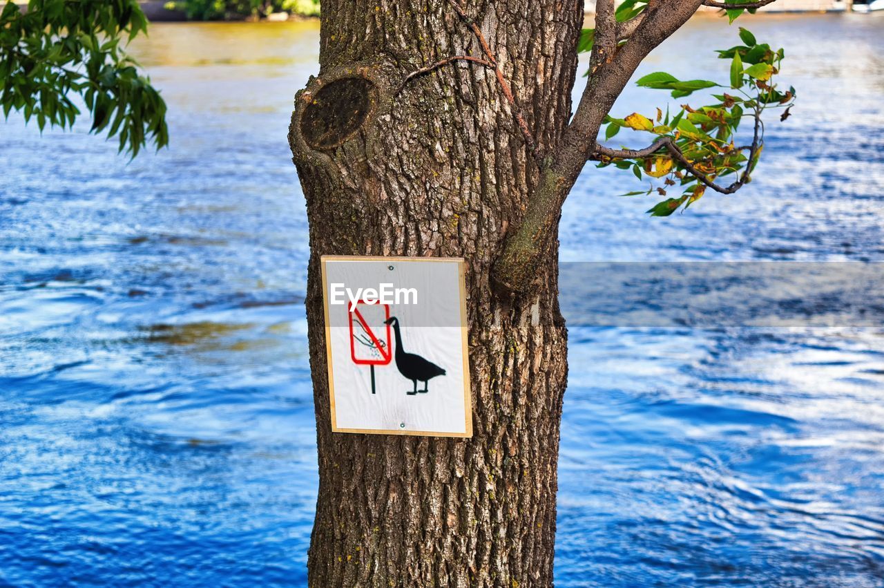 INFORMATION SIGN ON TREE TRUNK