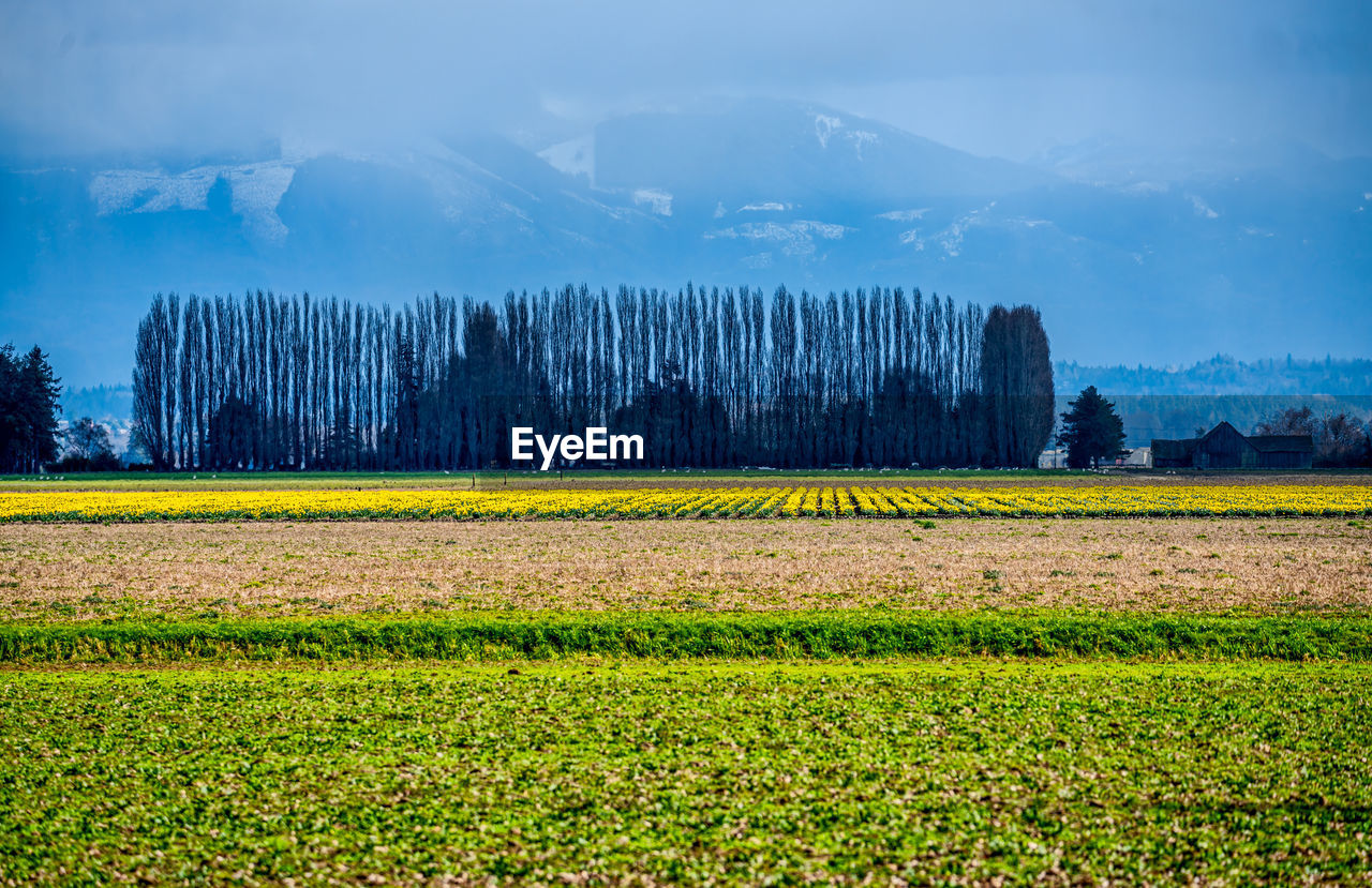 panoramic view of field against sky