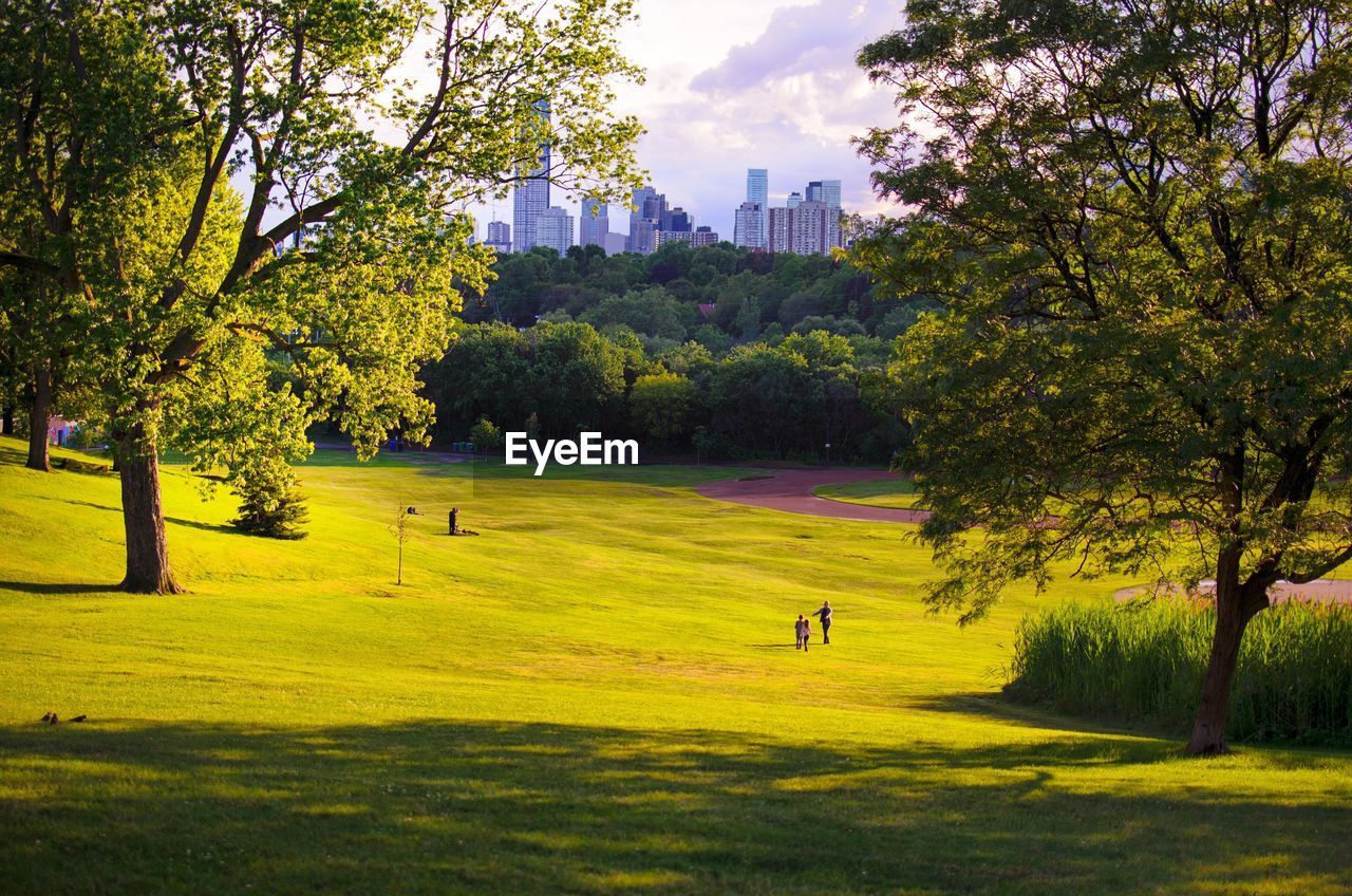 TREES ON GOLF COURSE IN CITY