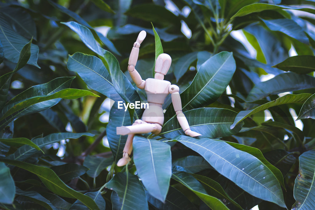 A wooden figurine sitting on a mango tree waving its hand to the camera 