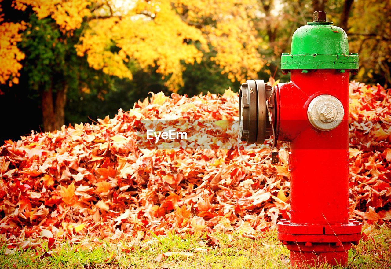 Red fire hydrant against autumn leaves heap in park