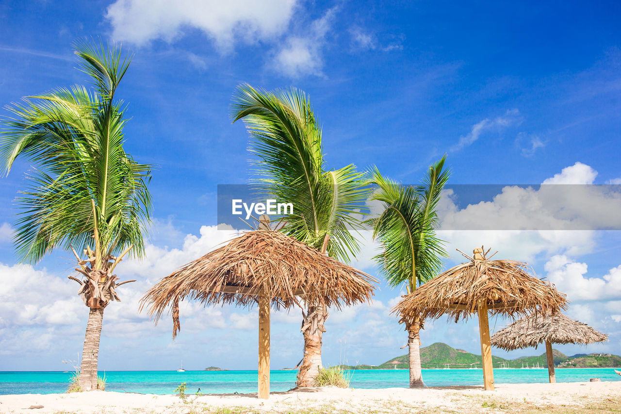 COCONUT PALM TREES ON SAND AGAINST SKY