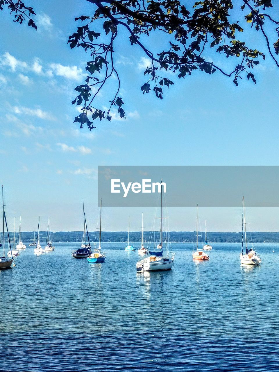 SAILBOATS IN MARINA