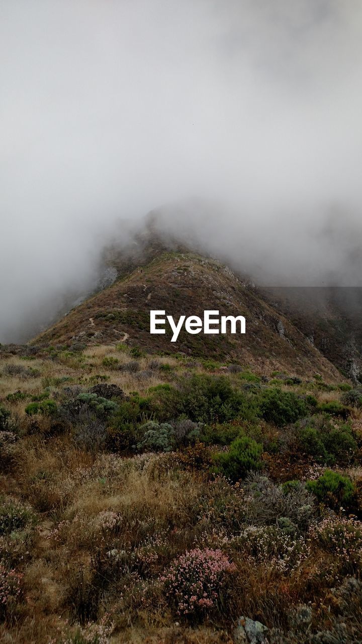 Scenic view of landscape against cloudy sky