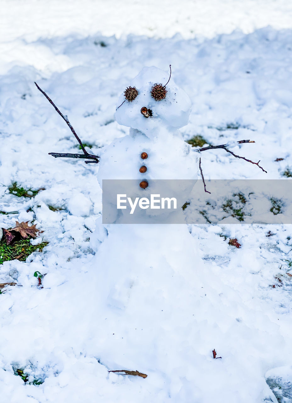 High angle view of frozen plant on snow covered land