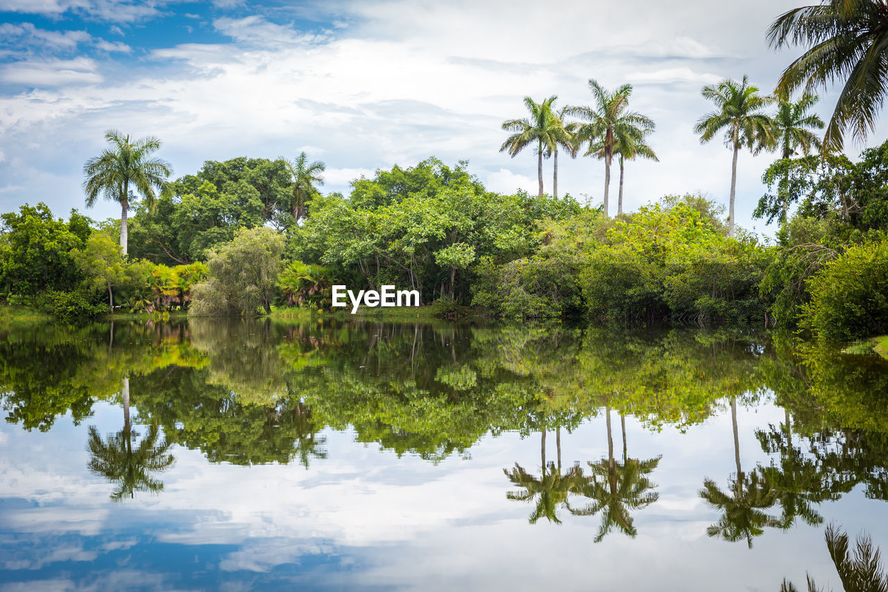 SCENIC VIEW OF LAKE BY TREES AGAINST SKY