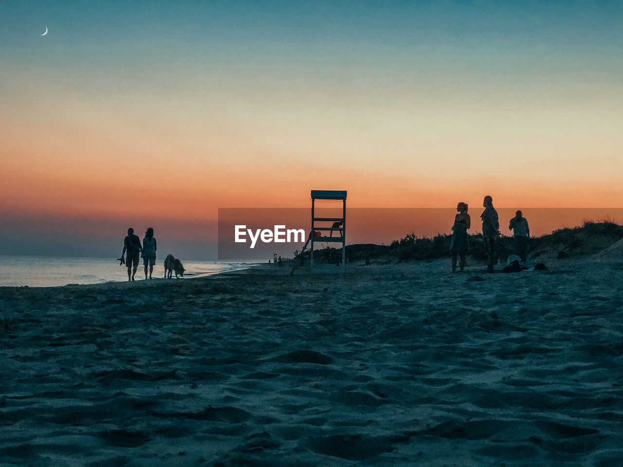 Late walk at the beach. silhouette of a couple, a dog, and people on beach during sunset.