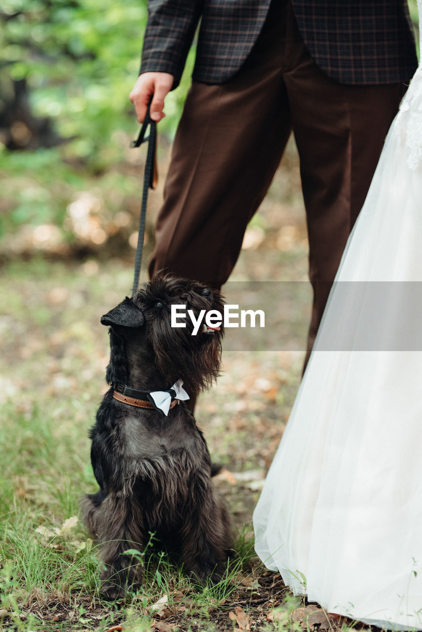 LOW SECTION OF MAN AND DOG STANDING ON LAND