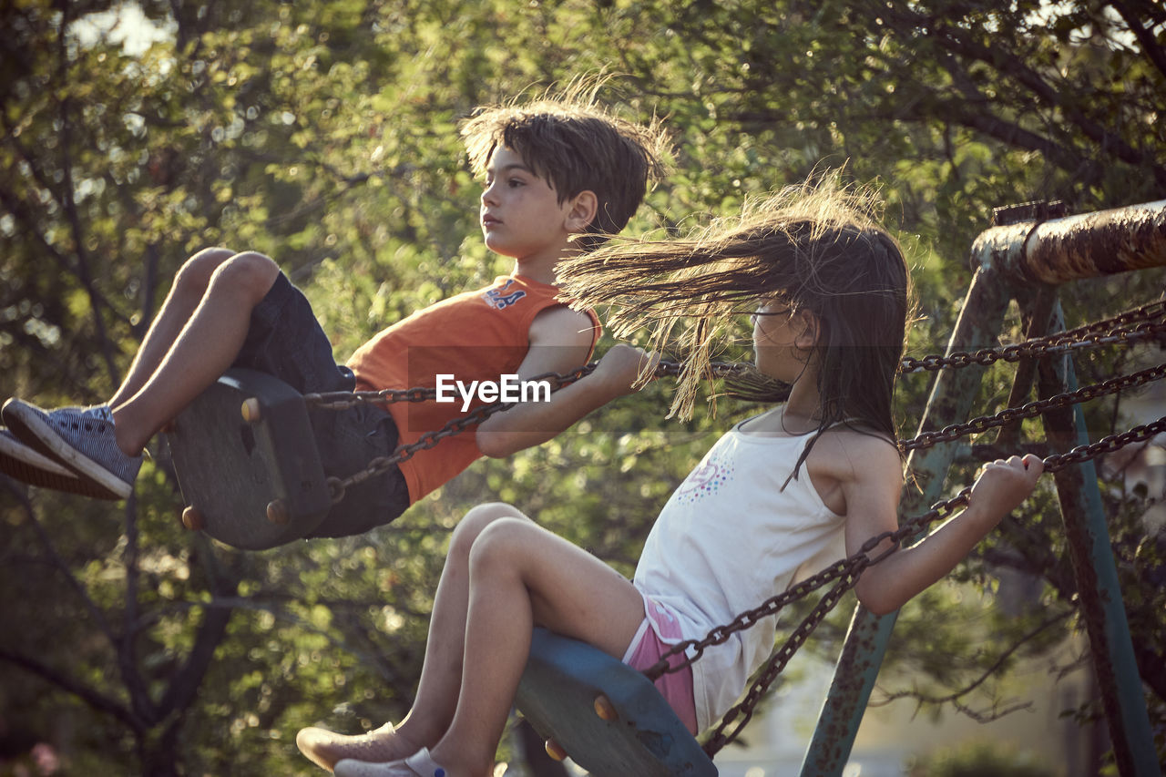 Siblings swinging against tree 