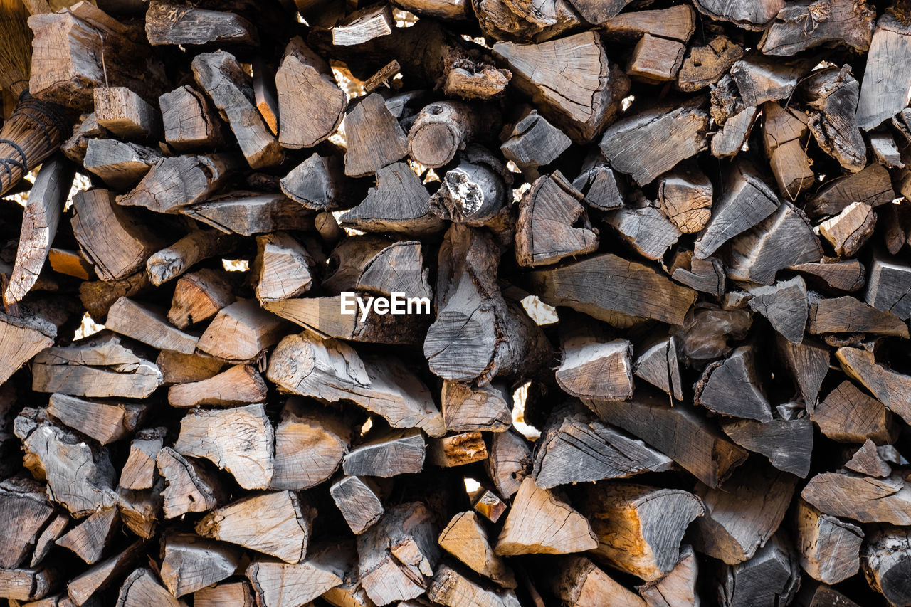 Full frame shot of logs in forest