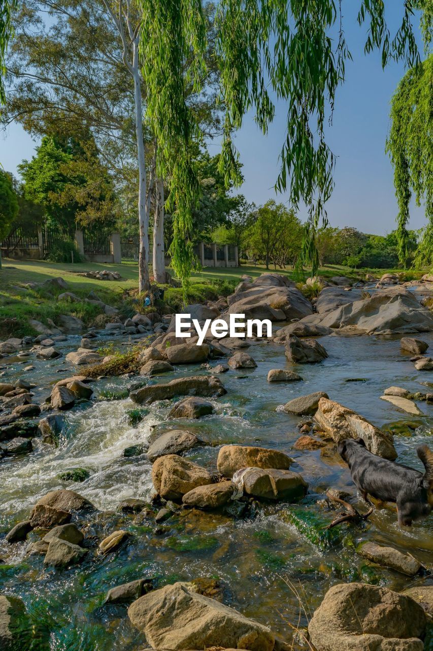 SCENIC VIEW OF RIVER AGAINST SKY