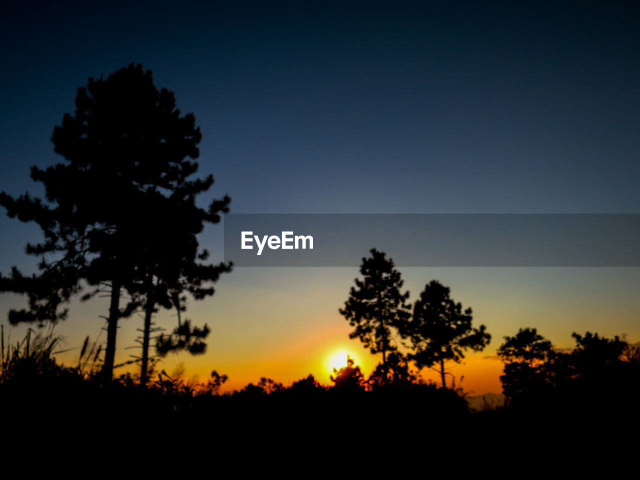 SILHOUETTE TREES ON LANDSCAPE AGAINST SKY DURING SUNSET