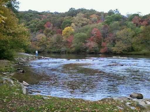 SCENIC VIEW OF RIVER WITH TREES IN BACKGROUND