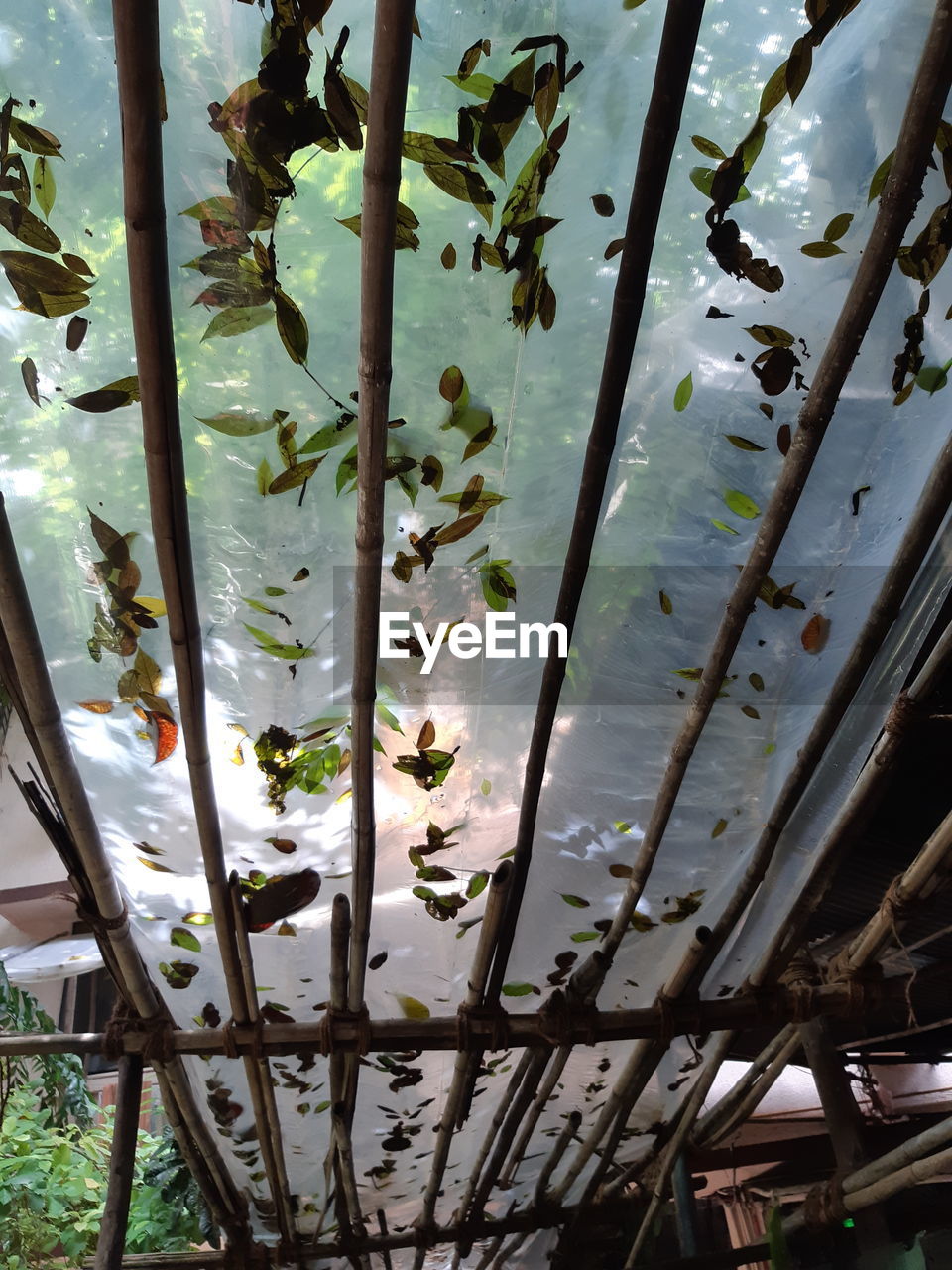 CLOSE-UP OF PLANTS SEEN THROUGH METAL