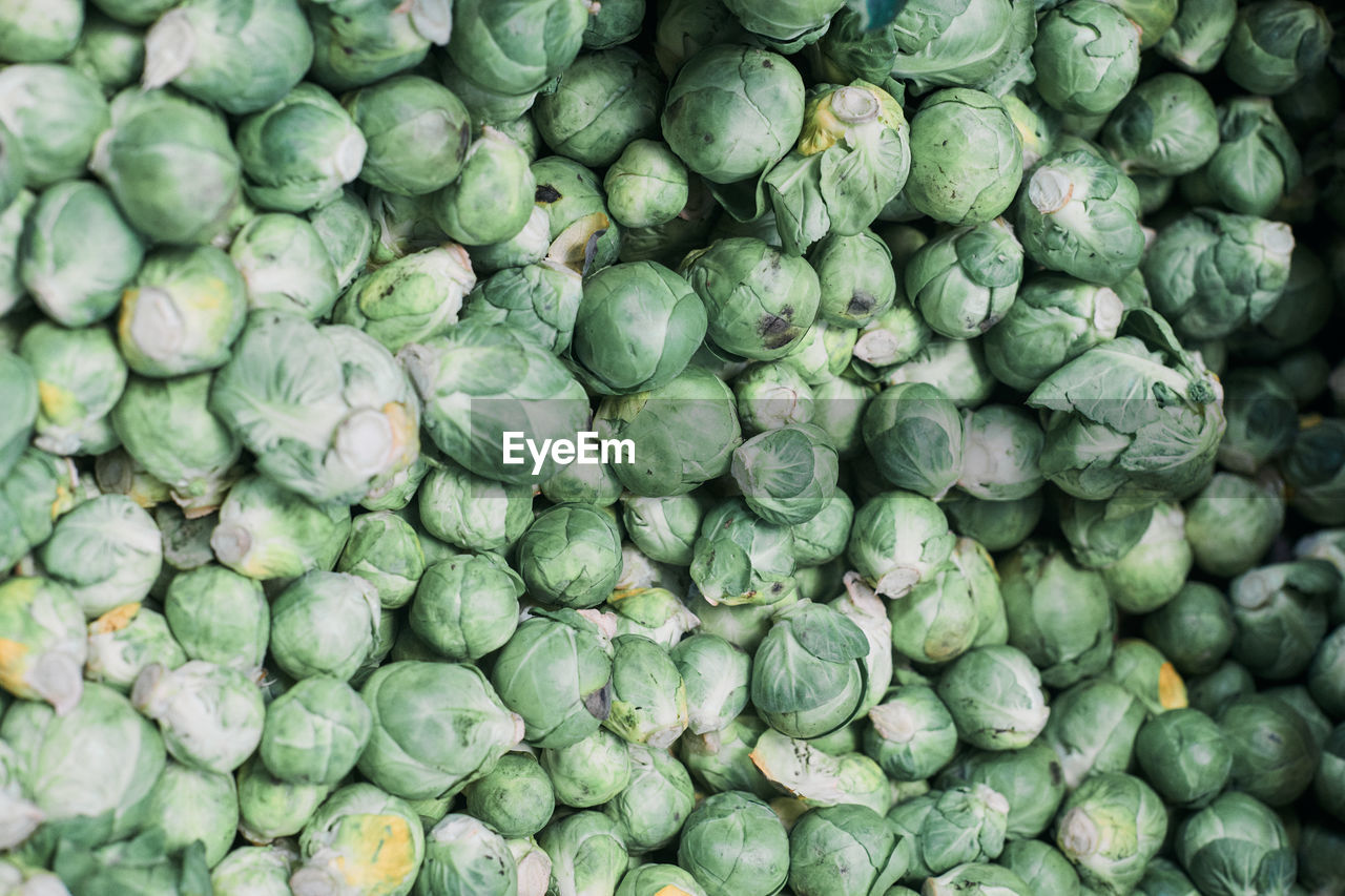 Sprouts at farmers market