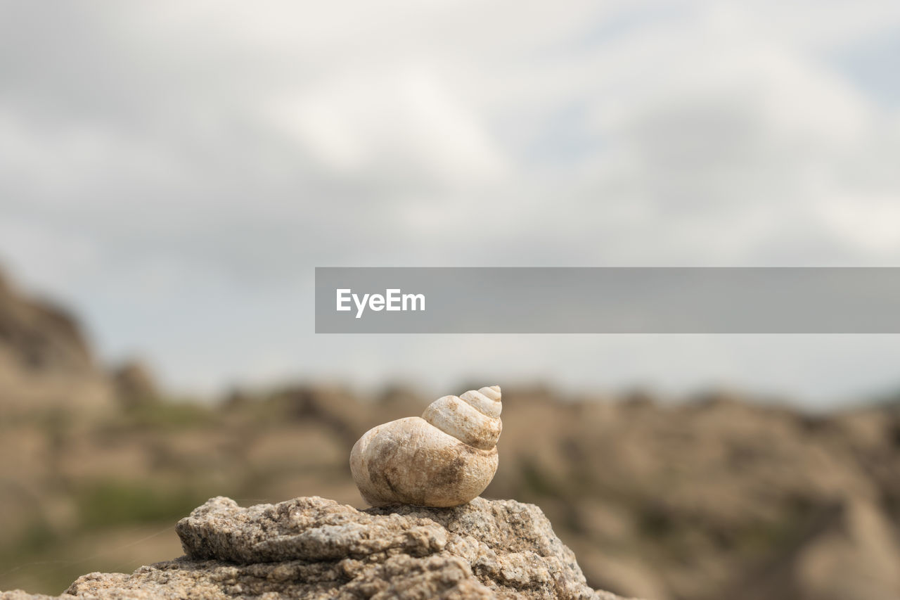 Close-up of stones on rock against sky