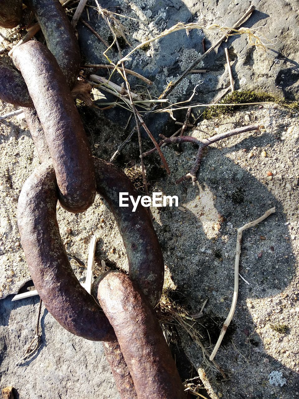 CLOSE-UP HIGH ANGLE VIEW OF GROUND