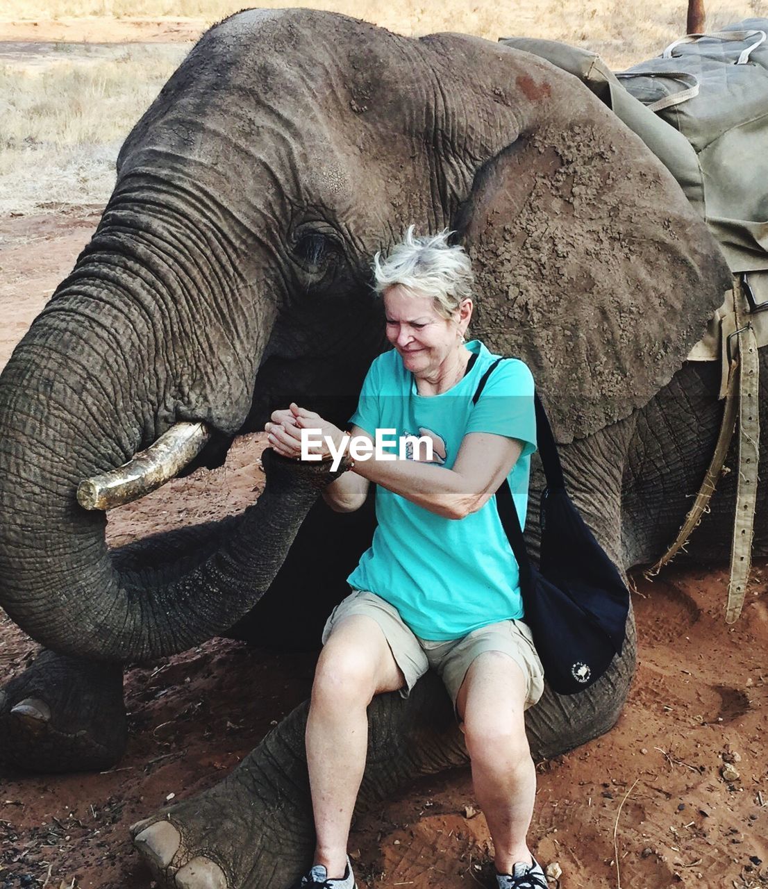 Full length of woman feeding elephant