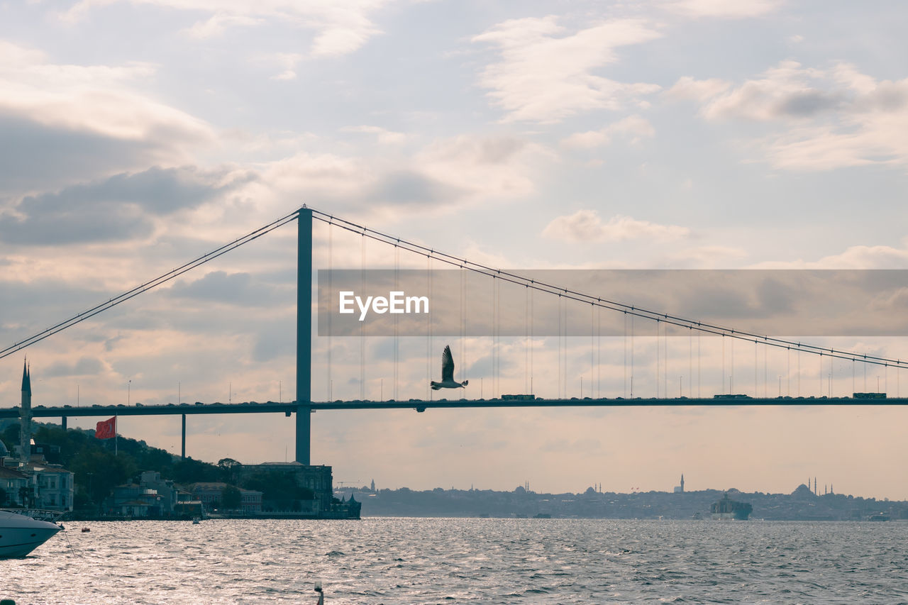 Bosphorus bridge and seagull