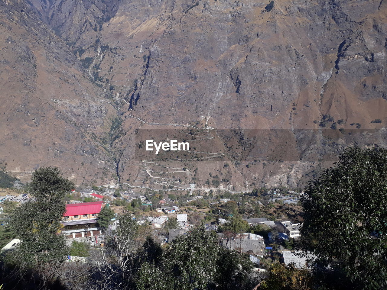 High angle view of trees and buildings