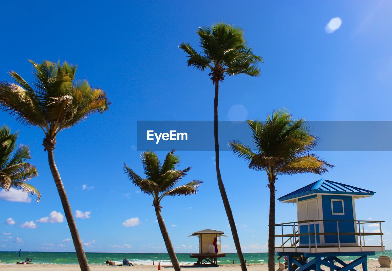 PALM TREES ON BEACH AGAINST BLUE SKY