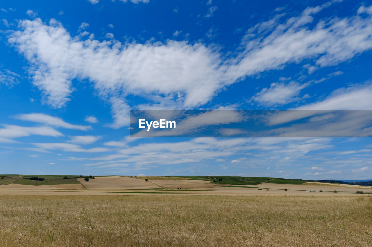 Scenic view of field against blue sky