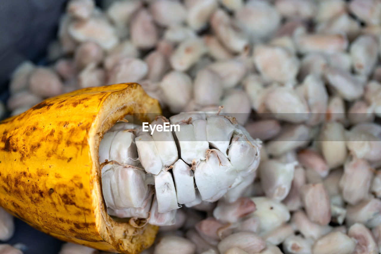 CLOSE-UP OF GARLIC