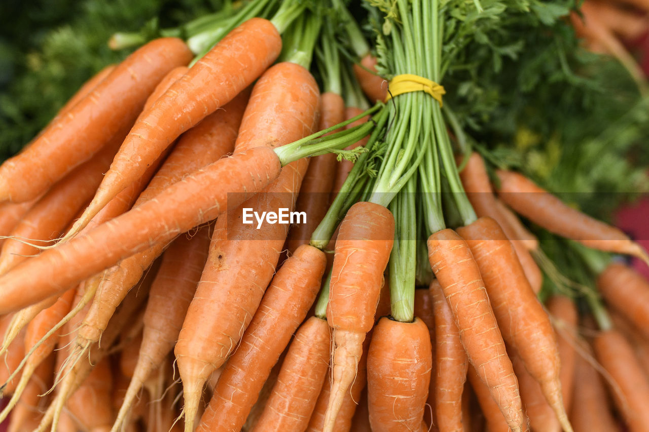 Close-up of carrots