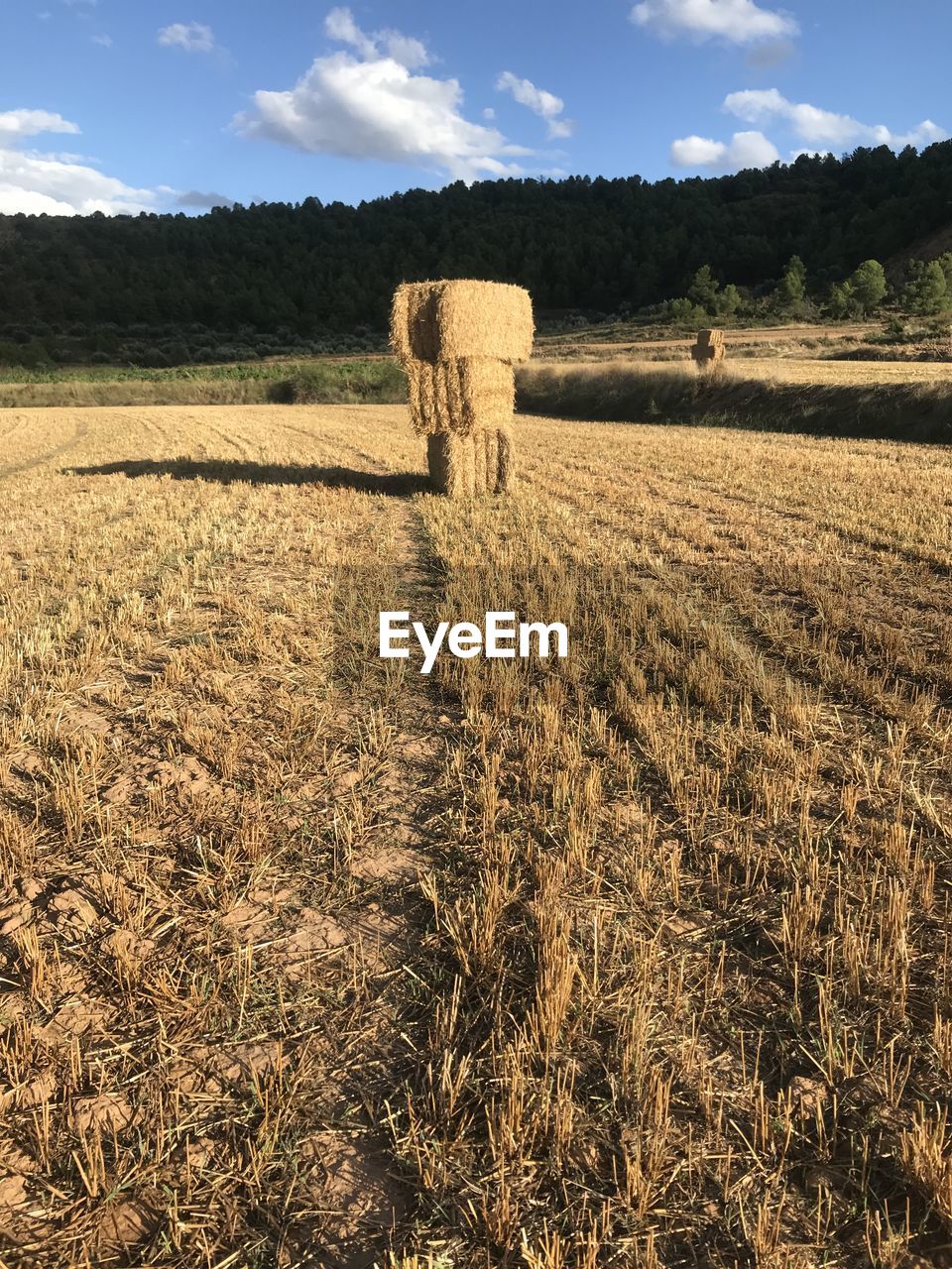 Hay bales on field against sky