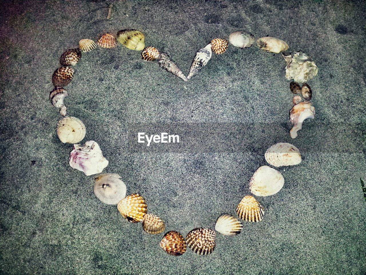 High angle view of heart shape made of various shells on sand