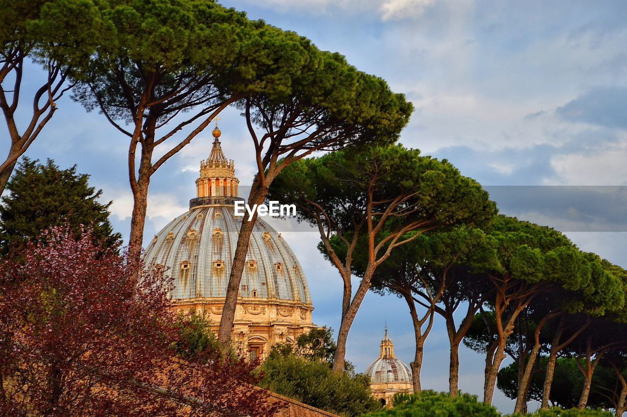 Low angle view of trees by st peters basilica against sky