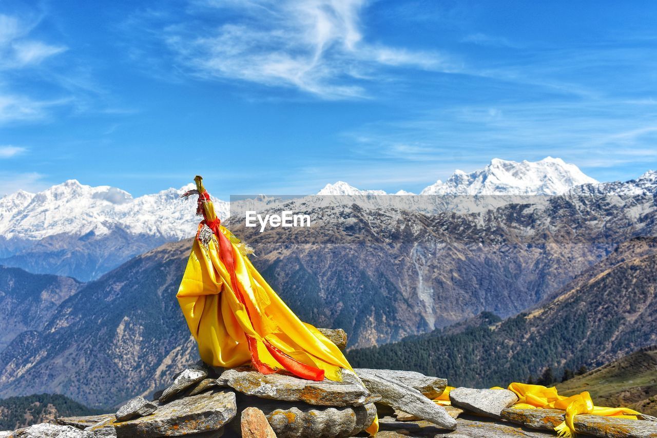 YELLOW FLOWERS ON MOUNTAIN AGAINST SKY