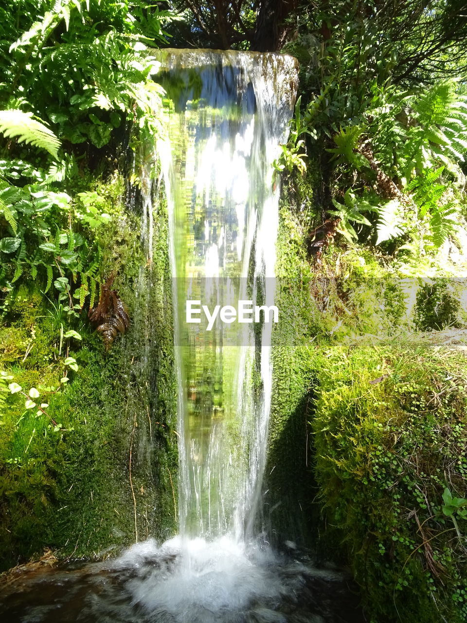 SCENIC VIEW OF WATERFALL