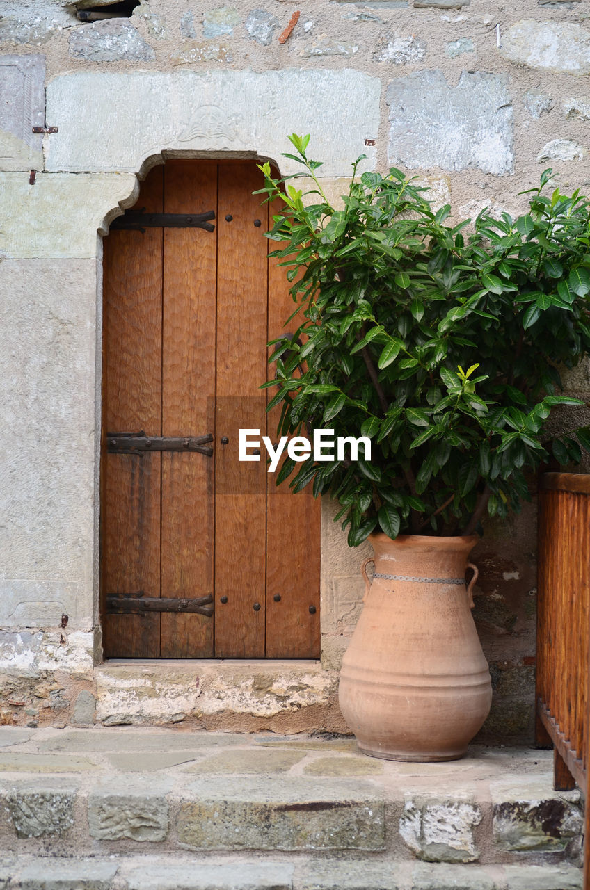 Plants in urn at doorway